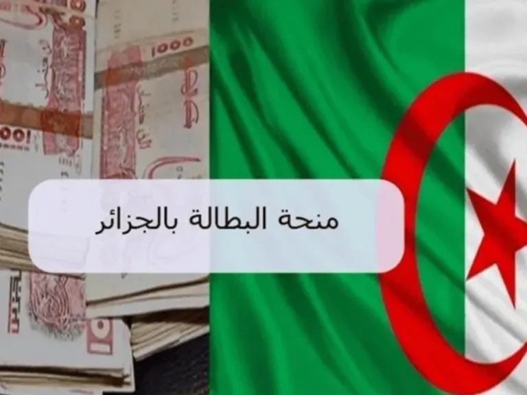 “بخطوات سهلة وبسيطة” طريقة تجديد منحة البطالة الجزائرية 2025 عبر الوكالة الوطنية للتشغيل