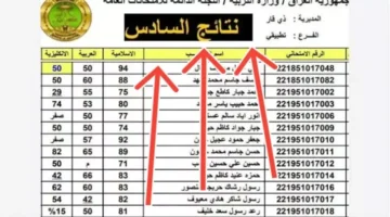 image_870x_679cca27bd004 (1)