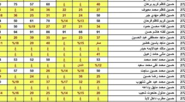 نتائج-السادس-اعدادي-دور-اول-800×600-1 (1)
