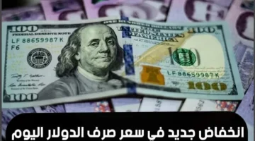 سعر الدولار اليوم في البنوك والسوق السوداء مقابل الجنيه المصري وتوقعات أسعار الصرف