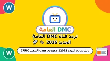 تفاصيل فعاليات الدورة الجديدة من مهرجان القاهرة السينمائي الدولي وأبرز النجوم المكرمين