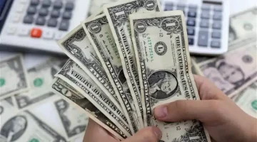 أسعار الدواجن والبيض والكتاكيت اليوم في بورصة الدواجن والأسواق للمستهلك