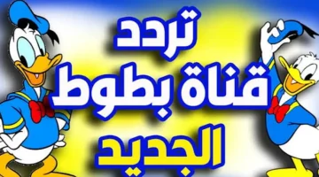 تردد قناة بطوط كيدز الجديد 2026 على النايل سات لمتابعة أجمل أفلام كرتون الأطفال